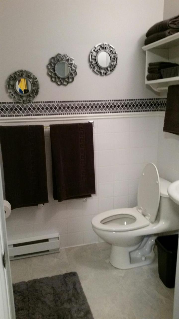 Condo Lac Archambault 295 سانت دونات دو مونتكالم المظهر الخارجي الصورة